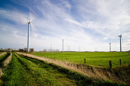 Wind Farm on Green Grass Pastures thumbnail