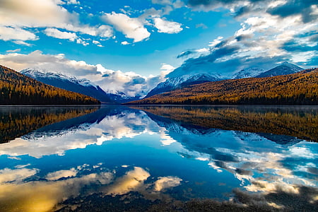 green trees near body of water thumbnail