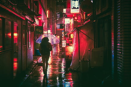 woman walking on street under the umbrella thumbnail