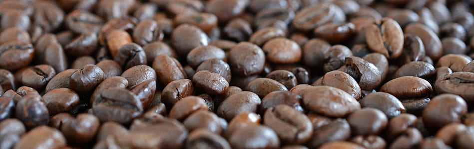 photo of bunch of coffee beans thumbnail