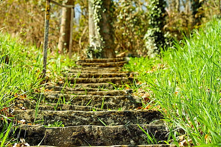 brown stairs with green grasses thumbnail