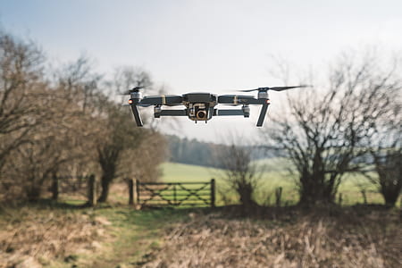 black drone near leafless tree thumbnail