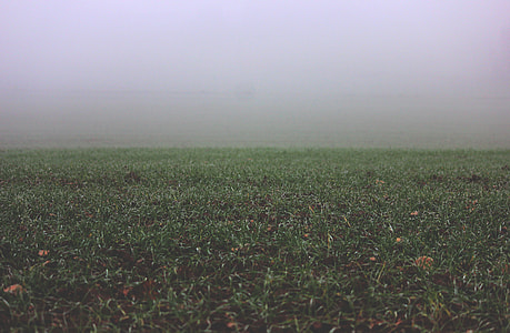 green lawn covered with fog during daytime thumbnail