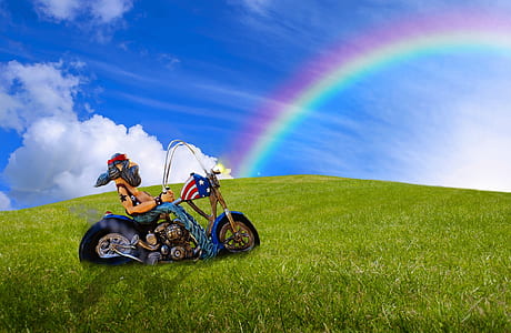 man riding cruiser motorcycle on grass field wallpaper thumbnail