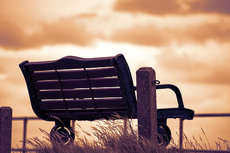 photography of brown metal bench chair thumbnail