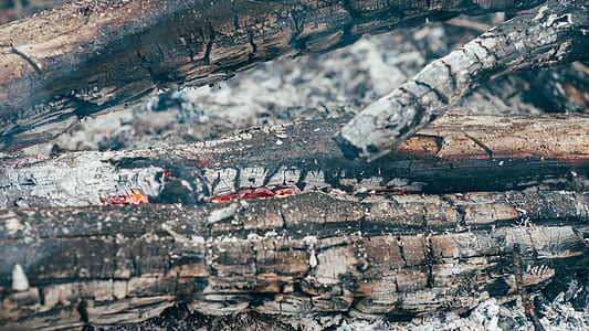 lighted firewood thumbnail