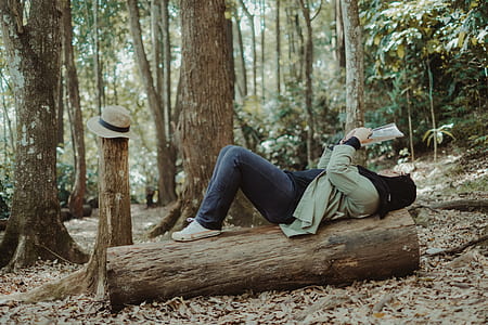 woman lying on tree trunk while reading book thumbnail