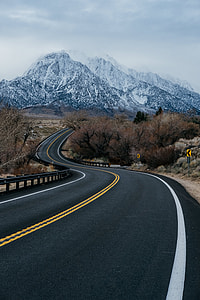 asphalt road in between trees thumbnail