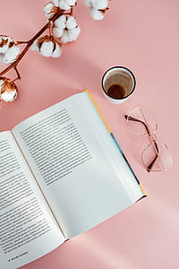Open book on a pink background thumbnail
