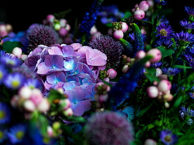 purple flowers thumbnail
