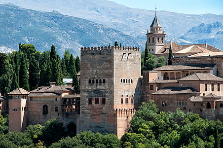 brown concrete castle surrounded by trees thumbnail