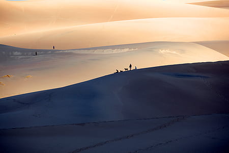silhouette photo on desert with people on top thumbnail