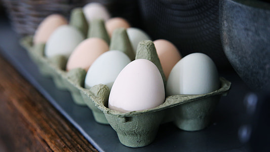 chicken eggs on tray thumbnail