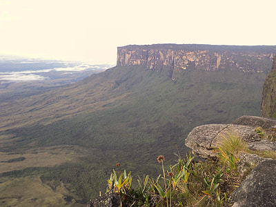 aerial photo of mountain and green trees at daytime thumbnail