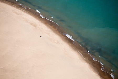 seawave splashing on white sand seashore thumbnail