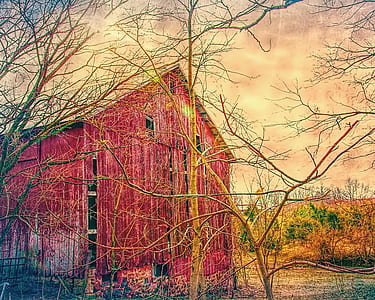 red wooden shed painting thumbnail