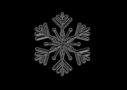 close-up photo of white snowflake thumbnail