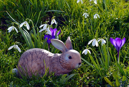 purple flowers thumbnail