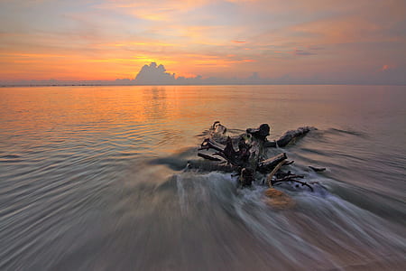 wood, sea, dawn, nature thumbnail