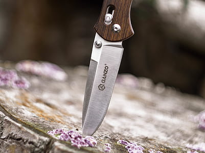 Ganzo Knife Stuck on Wood Stump thumbnail