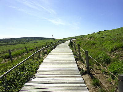 wooden pathway between green pasture under calm blue sky thumbnail