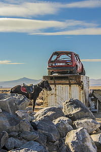 horse next to broken car thumbnail