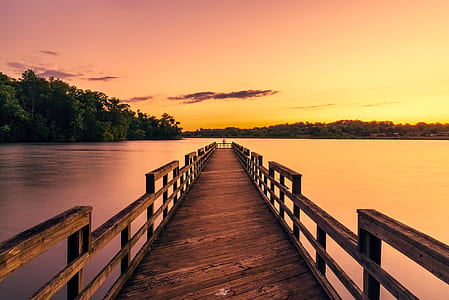 photography of brown wooden dock with trees as background thumbnail