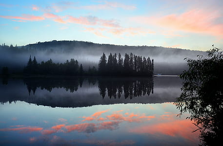 trees in front of body of water thumbnail