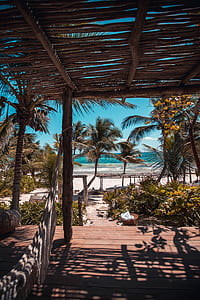 brown wooden cottages below coconut palm trees on beach at daytime thumbnail