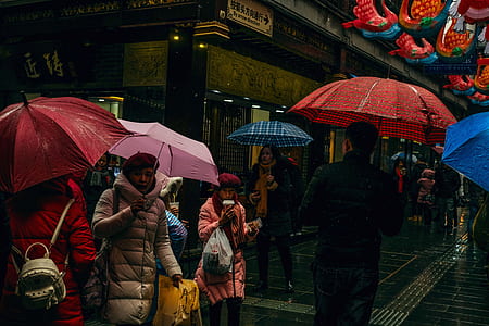 crowded people under umbrellas thumbnail