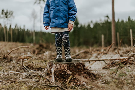 toddler's standing on cut tree thumbnail