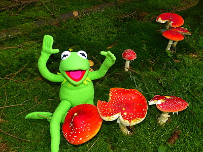 Kermit the Frog plush toy near mushroom thumbnail