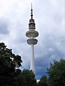 architectural photography of CN tower thumbnail
