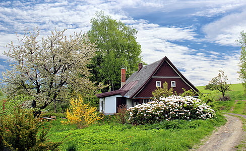 maroon and white wooden house near trees thumbnail