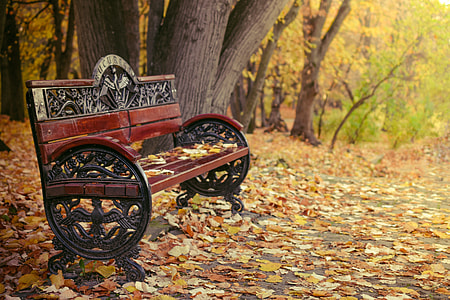 selective focus photography of brown wooden bench thumbnail
