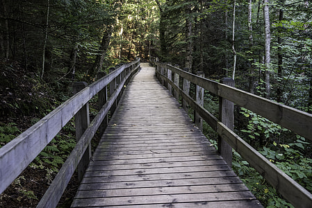 Boardwalk at Wagner Falls in Michigan thumbnail
