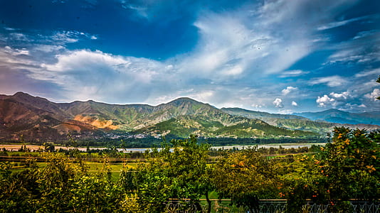 Nature Photography of Mountains and Trees Under Cloudy Sky during Daytime thumbnail