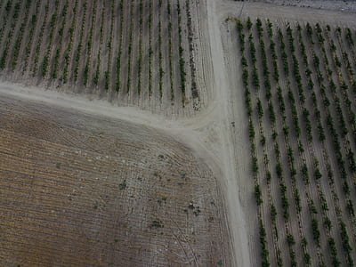bird's eye view photography of field thumbnail