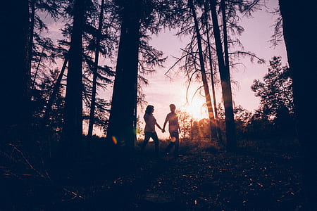 woman and man holding hands walking inside woods during golden hour photography thumbnail