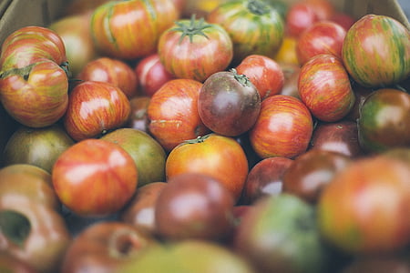 orange and green tomatoes thumbnail