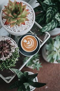 coffee latte art on table thumbnail