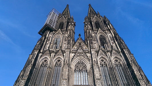 gray church in worm's view photography thumbnail