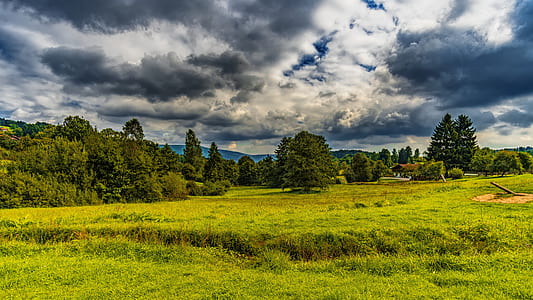 green grass taken at daytime thumbnail