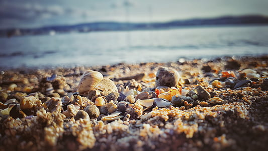 sea, dawn, landscape, nature thumbnail