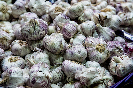 Garlic thumbnail