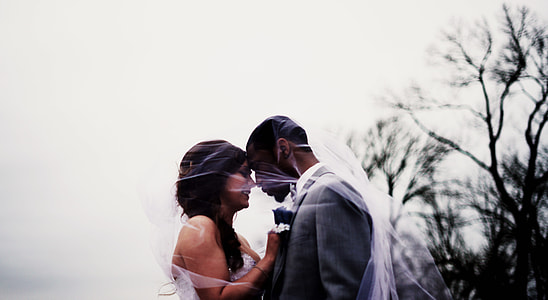 newly wed couple standing near bare trees under cloudy sky during daytime thumbnail