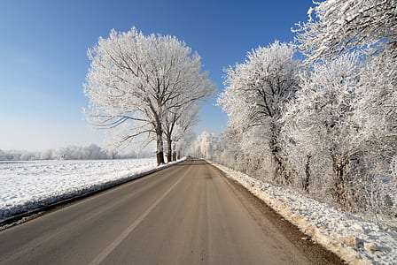 empty road thumbnail