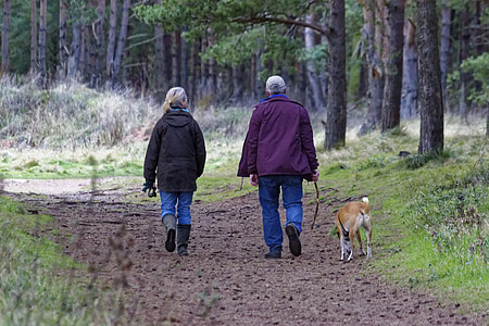 man and woman with bubble jacket walking on road with brown dog during daytime thumbnail