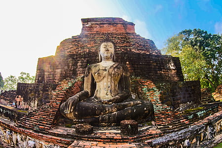 Concrete Buddha Temple thumbnail