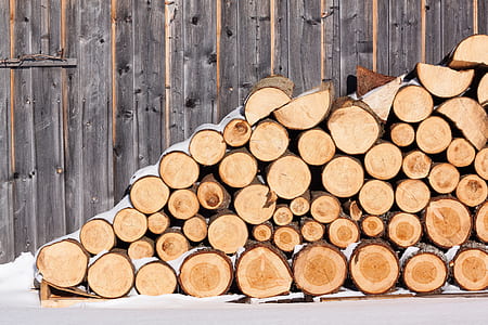 pile of logs thumbnail